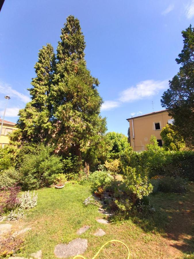 B&B Rustic Chic Casa Salva Molinella Dış mekan fotoğraf